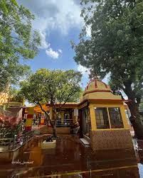 Devotees at Baglamukhi Temple