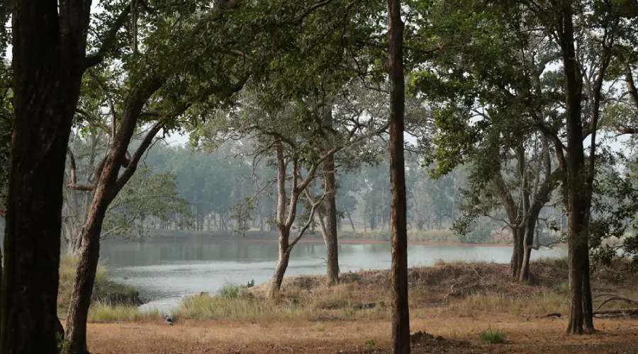 Kanha Safari